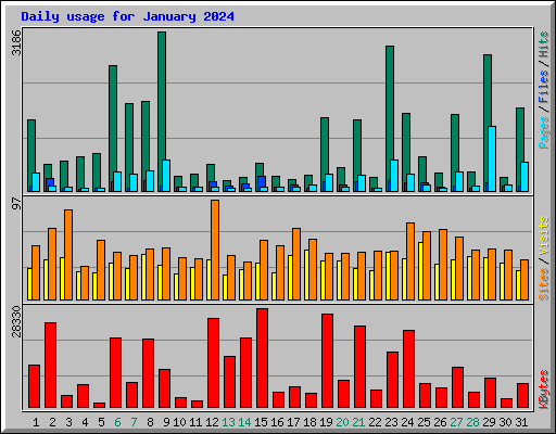 Daily usage for January 2024
