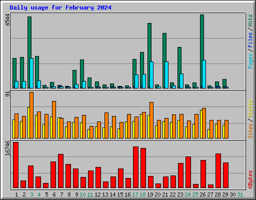 Daily usage for February 2024