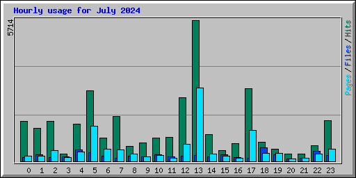 Hourly usage for July 2024