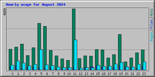 Hourly usage for August 2024